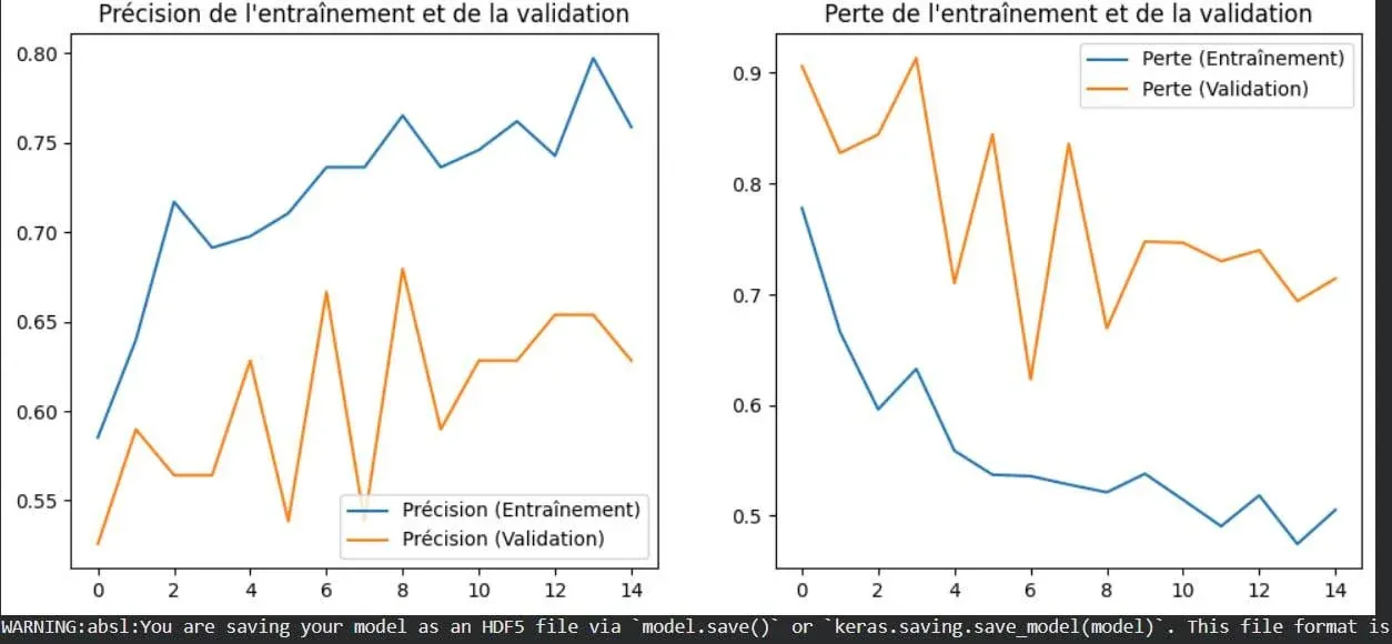 深度学习中的过拟合概念可视化