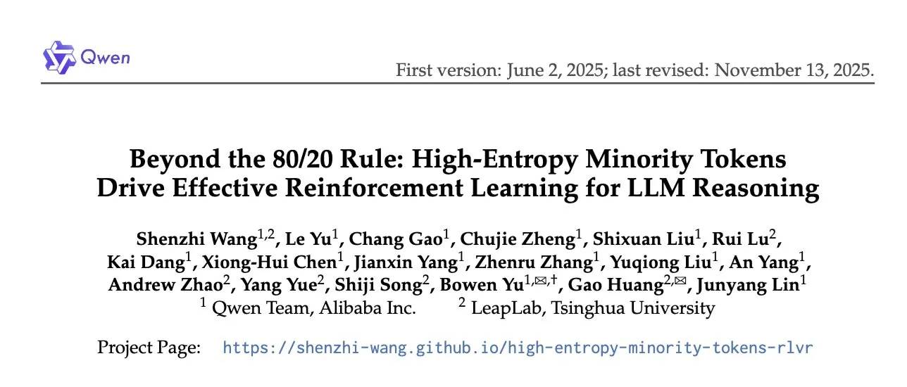 High-Entropy Minority Tokens for RL