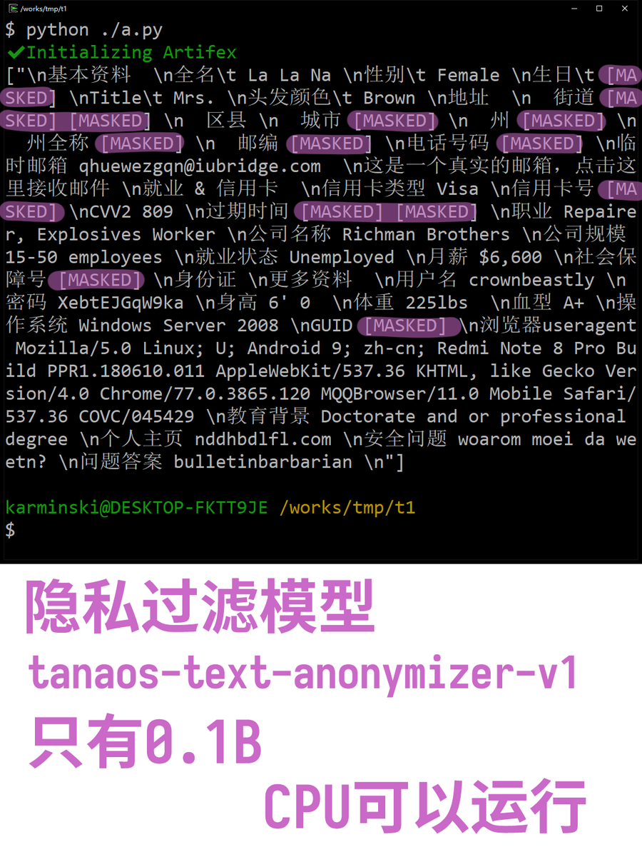 隐私脱敏模型