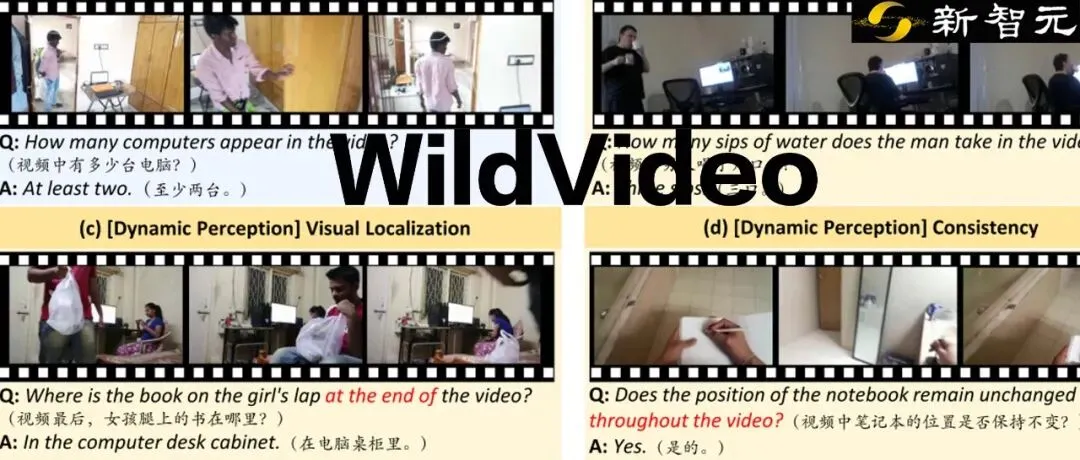 WildVideo