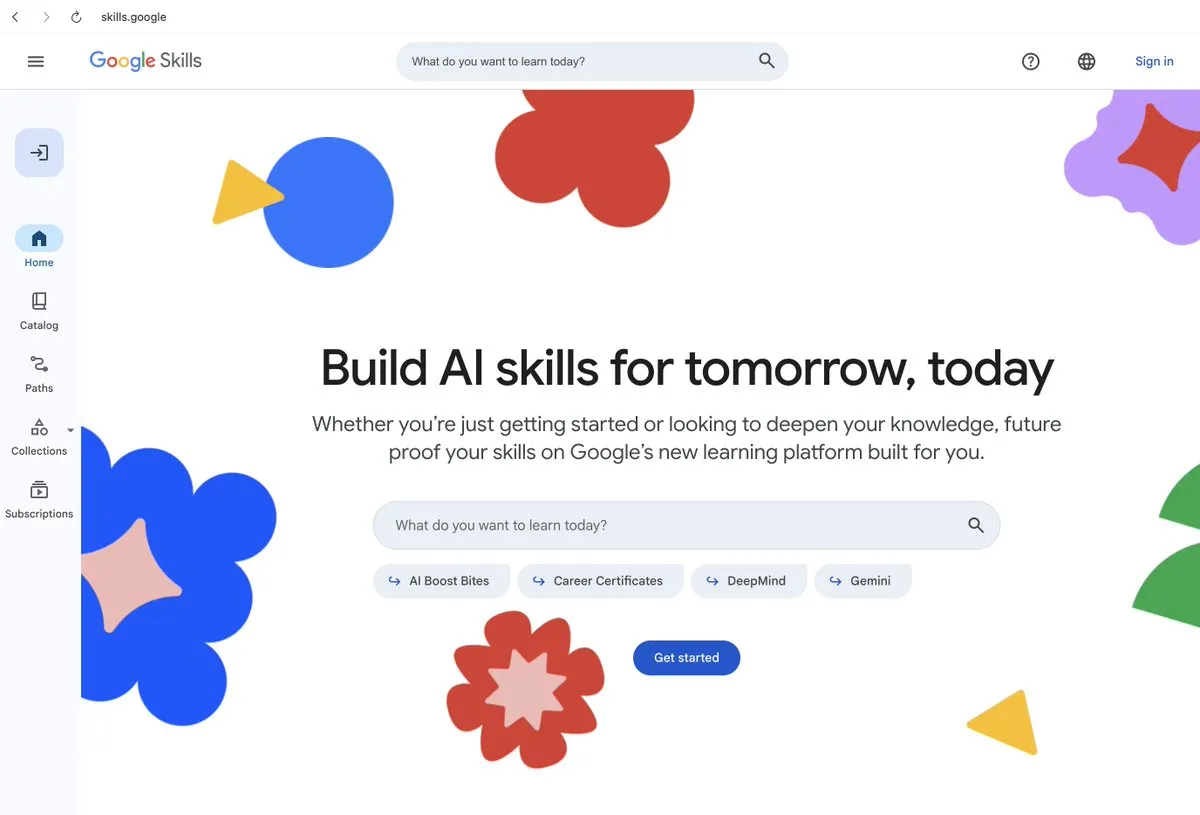 Google Skills