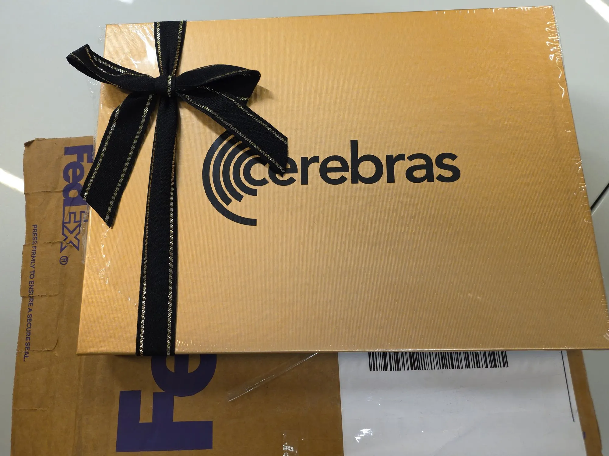 Cerebras芯片
