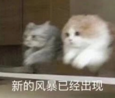 Xiaomi VLA 模型