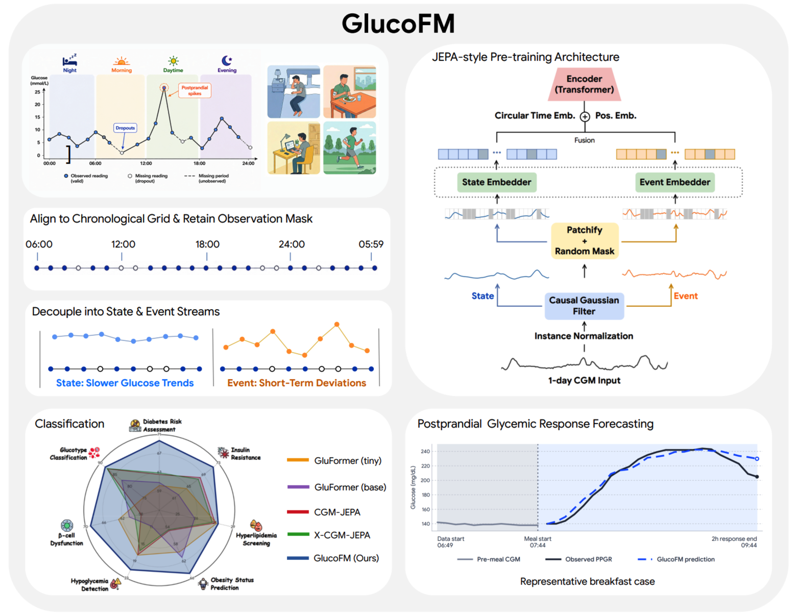 GlucoFM架构图