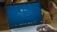 联合国携手Google推出UN System Data Commons