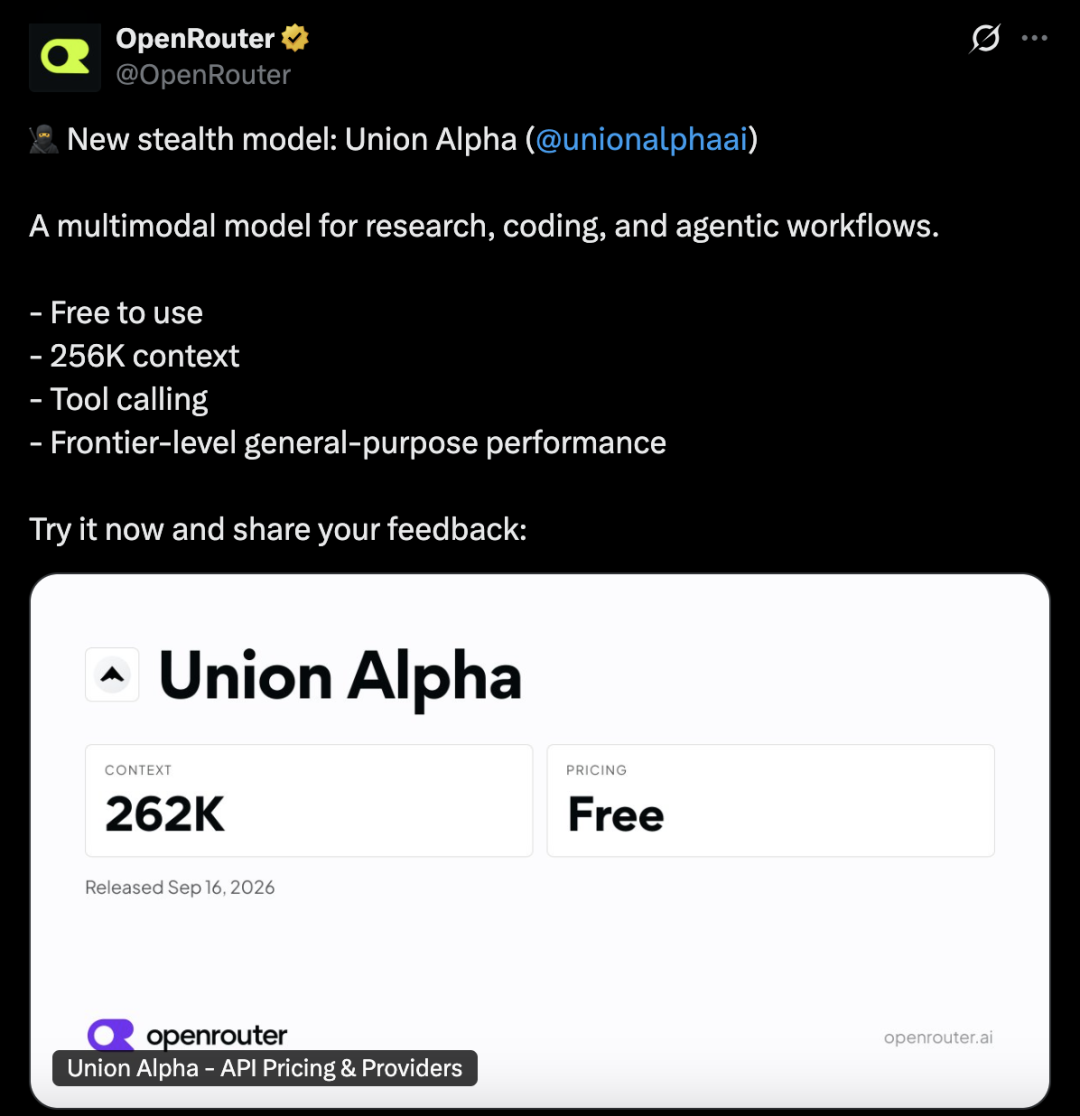 匿名模型Union Alpha突袭