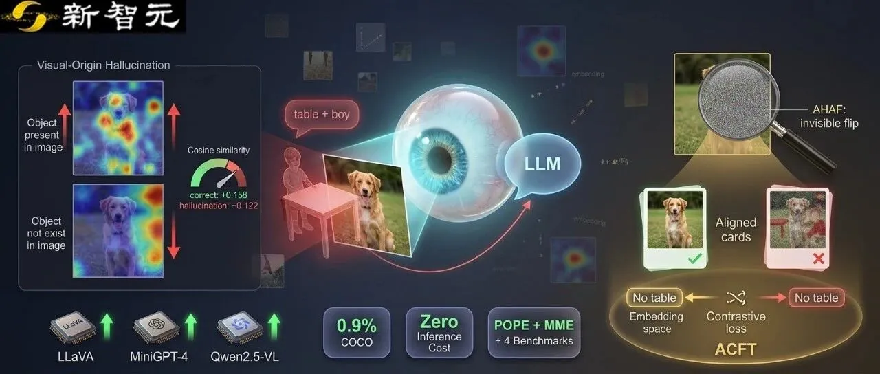 清华视觉源幻觉研究